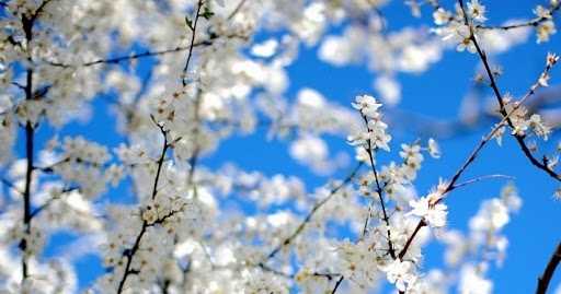 Синоптики пообещали еще больше солнца и тепла