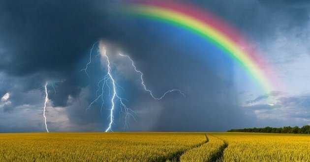 Май решил сразу показать, на что способен: от гроз до летних +26