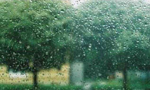 Синоптики расстроили прогнозом погоды