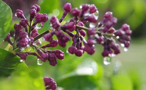 Украинский гидрометцентр огорчил прогнозом погоды