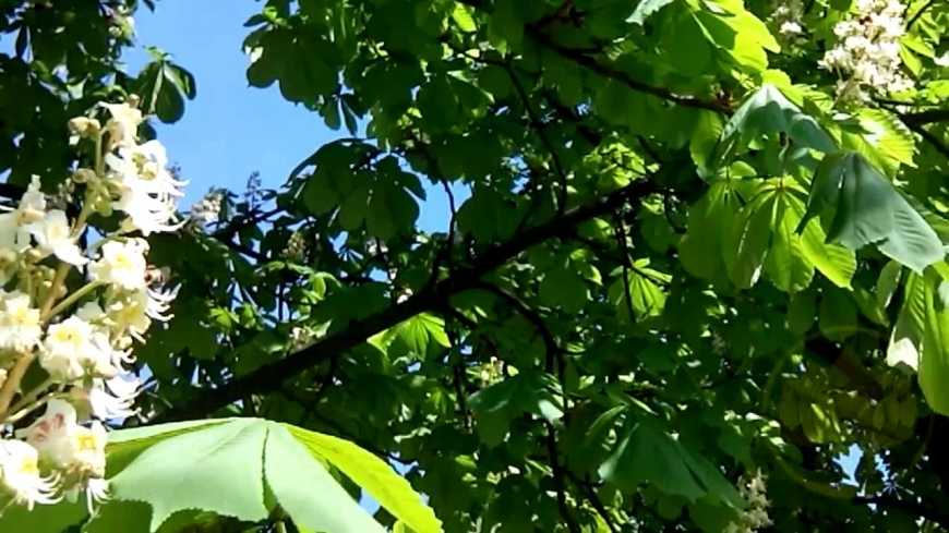 В Украину пришла непогода