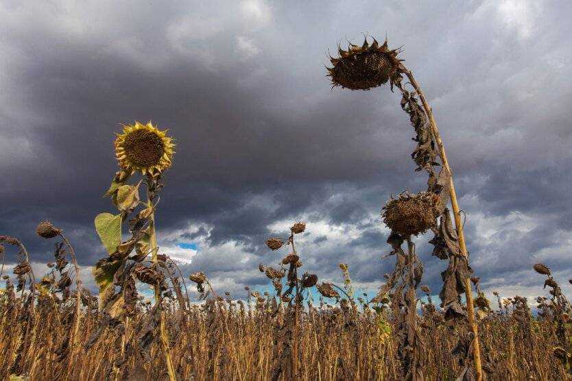Украинцы могут не пережить новой угрозы