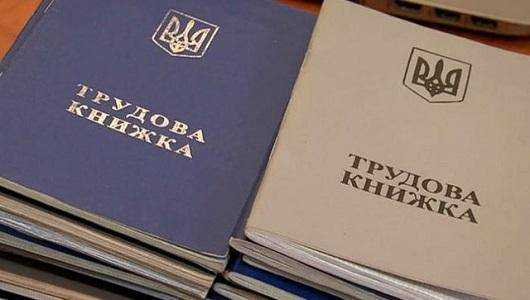 Отмена обычной трудовой книжки: плюсы и минусы инициативы
