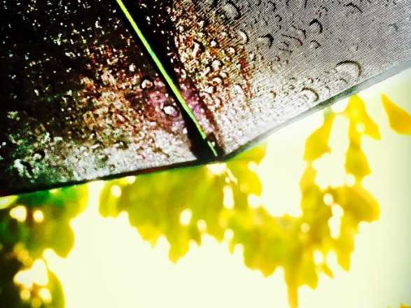 В Украину идут дожди и похолодание