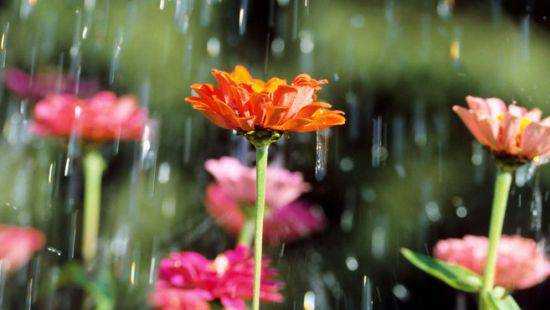 Украину продолжит заливать дождями