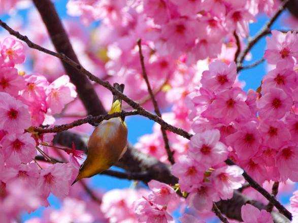 От +20 до дождей: антициклон похозяйничает над Украиной