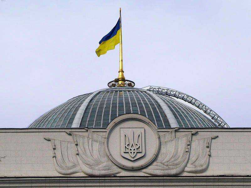 Рада отклонила законопроект о продлении эксперимента по осуществлению патроната над ребенком