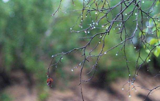 Погода на выходные: солнечно и дожди