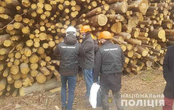 ТЭС под Киевом жгла радиоактивную древесину из Чернобыля