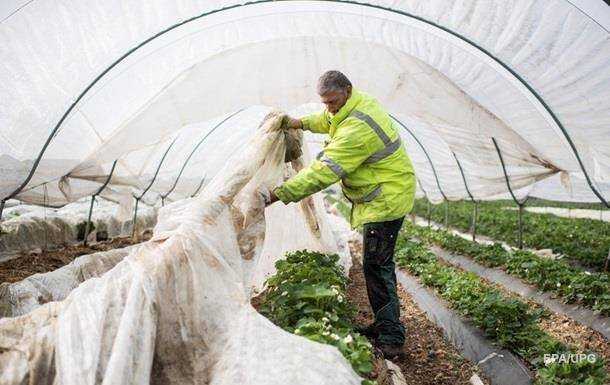 Польша ослабила карантин для заробитчан