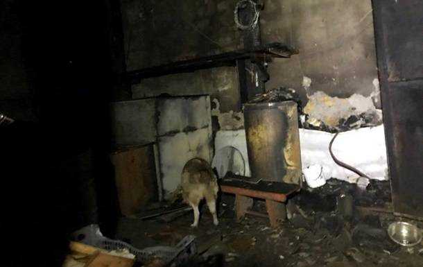В Одессе во время пожара спасли сотни собак и котов
