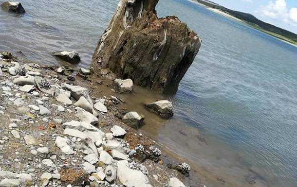 Последствия нехватки воды в Крыму показали в сети