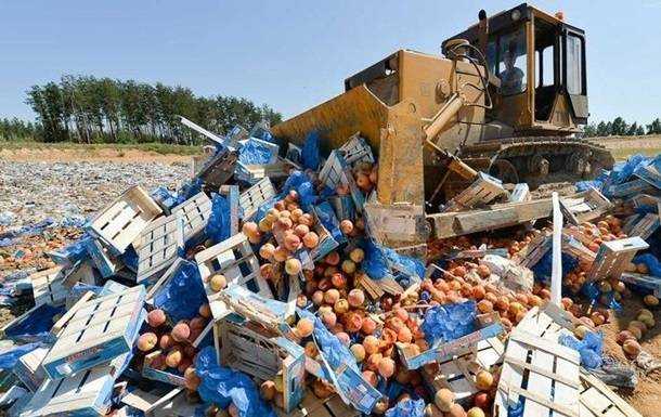 За пять лет в России уничтожили 36 тысяч тонн санкционных продуктов