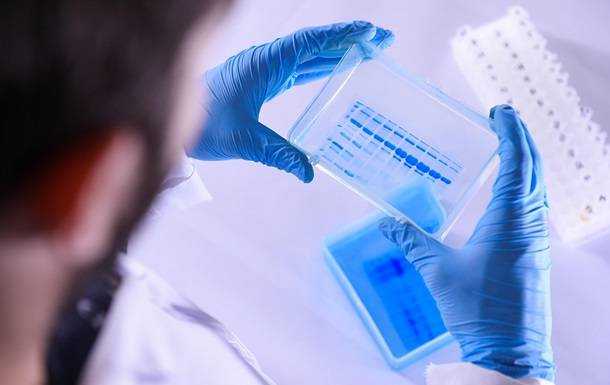 Названа болезнь, после которой появляется иммунитет к COVID-19