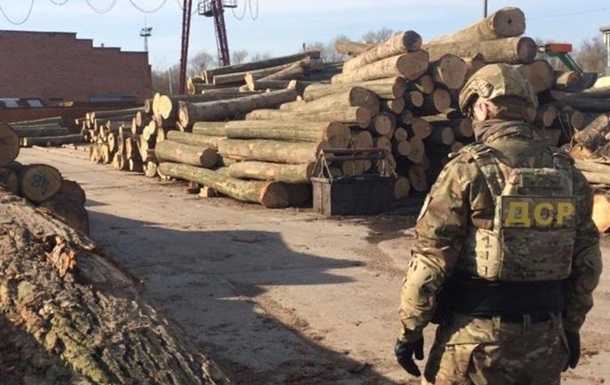 На Львовщине служащие лесхоза вырубили более 300 дубов