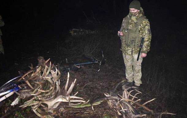 В Чернобыльской зоне задержали собирателей рогов