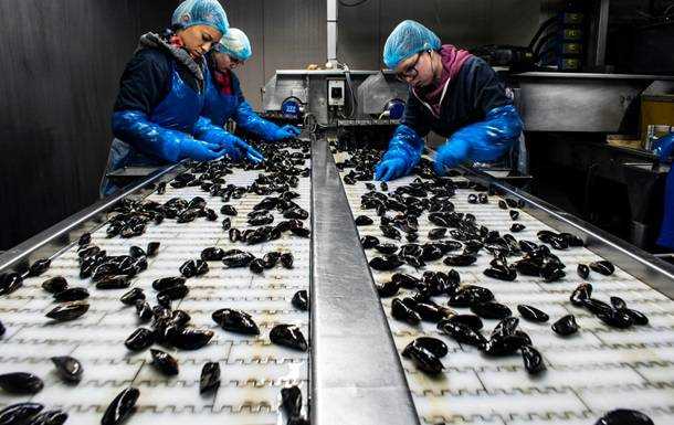 Эксперты назвали профессии с самым высоким риском смерти от коронавируса