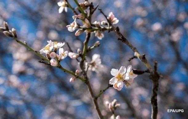 Синоптики спрогнозували погоду в квітні