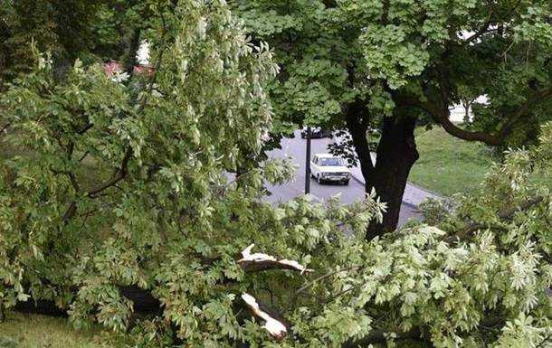 Львів накрив ураган з грозою