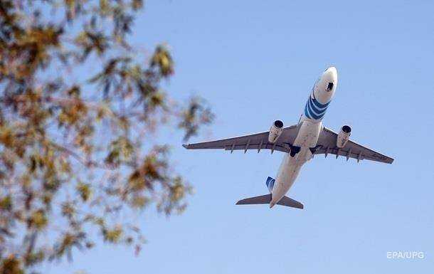 У США жінка годувала грудьми кота на борту літака