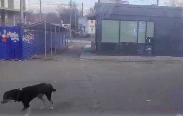 У Харків прорвалася російська техніка
