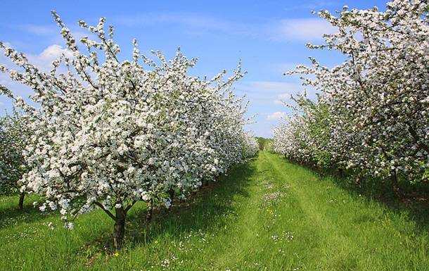 Укргідрометцентр дав прогноз погоди на травень