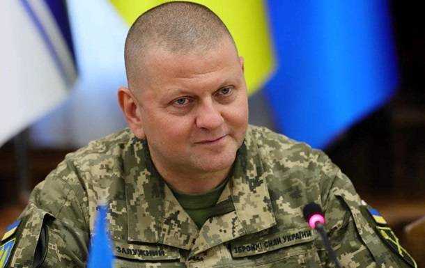 Грузинський художник зобразив зустріч Залужного з Путіним