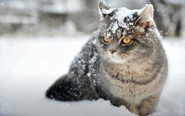 Українців попередили про перший сніг