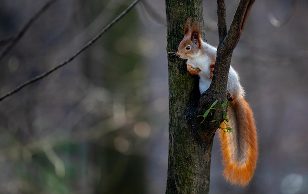 Укргидрометцентр озвучил прогноз на апрель