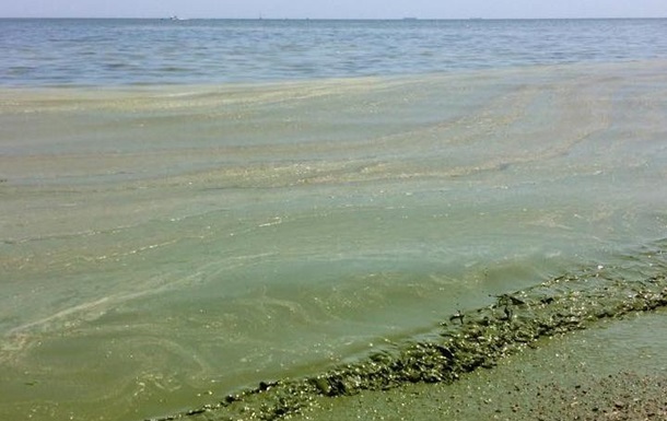 В Одесской области запретили купаться и рыбачить в море