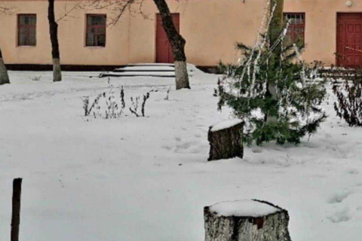 Вбивство ножем на дискотеці в Миколаївській області: стали відомі несподівані деталі