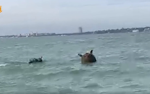 В Одесской области к пляжу прибило морскую мину