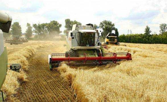 Аграрии собрали 19% урожая зерновых