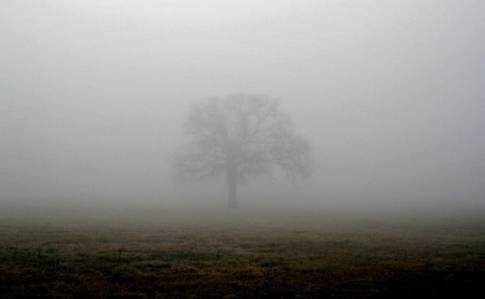 Сутки тумана: украинцев предупредили об ухудшении погоды