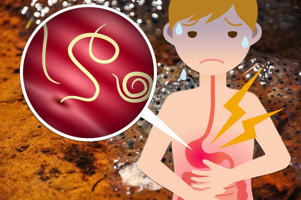 5 способов очищения организма в домашних условиях