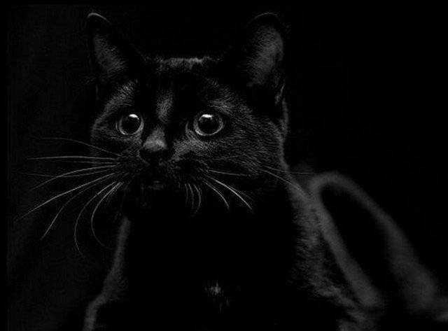 Самые опасные предупреждающие приметы и поверья