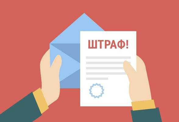 Советник Зеленского о штрафе: надо отвечать за свои действия