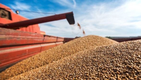 За 2022 год Украина экспортировала агропродукции на более 20 млрд долларов - Минагрополитики