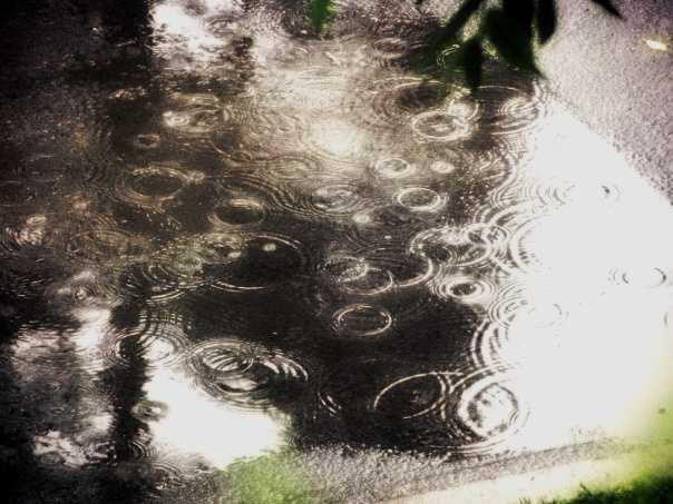 В Украине пройдут дожди