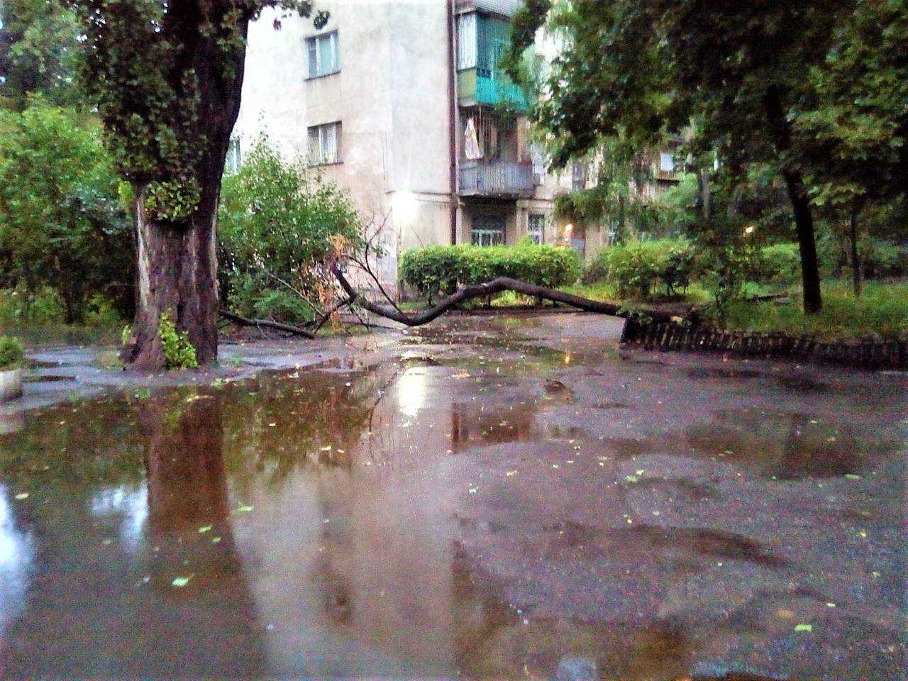 Непогода в Одессе: 15 обрывов электросетей и 22 поваленных дерева