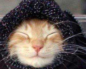 В Украине сильно холодает