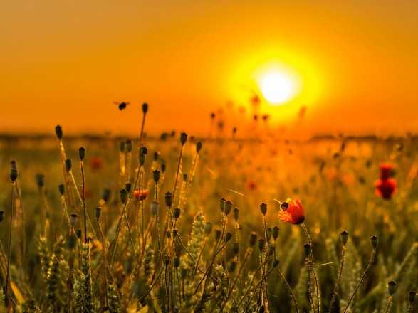 Тумани і до 23° тепла: прогноз погоди на сьогодні