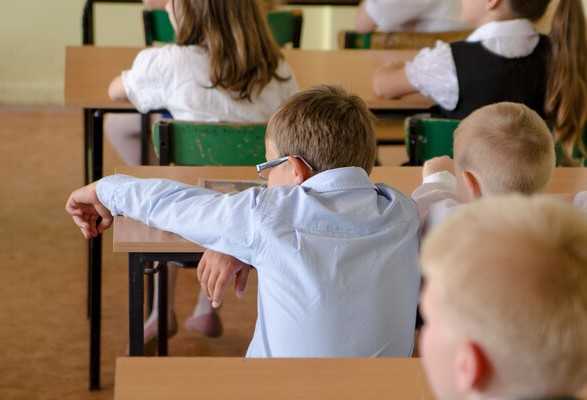 Шкарлет: 12-летку в школе никто не будет отменять