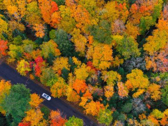 Нічні морози та до 13° тепла вдень: прогноз погоди на сьогодні