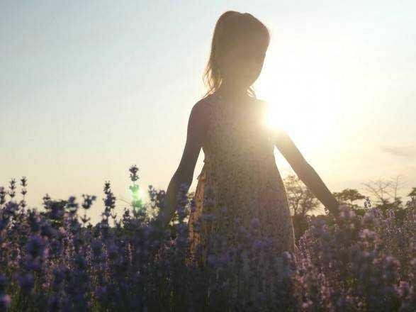 В Украине сегодня до 32 градусов