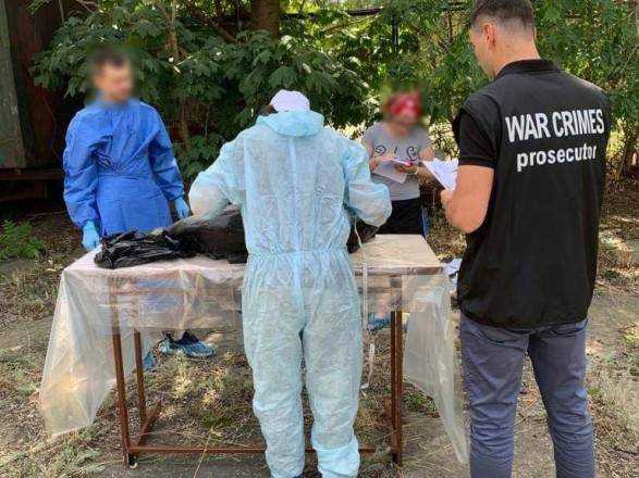 Масова загибель дельфінів у Чорному морі: розпочато розслідування екоциду