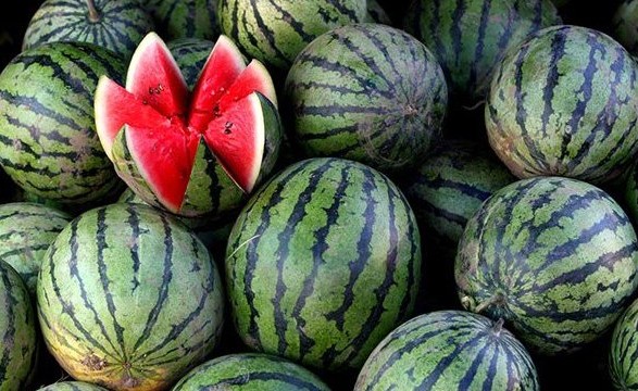 Херсонские арбузы в этом году будут - ОВА