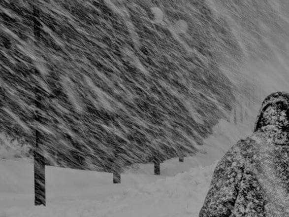 В Украине объявили штормовое предупреждение