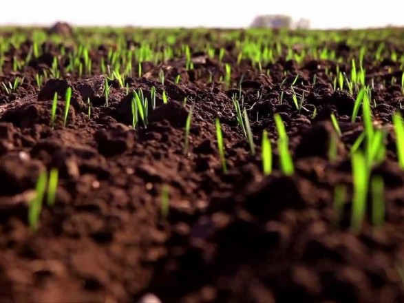 В Украине стартовала посевная