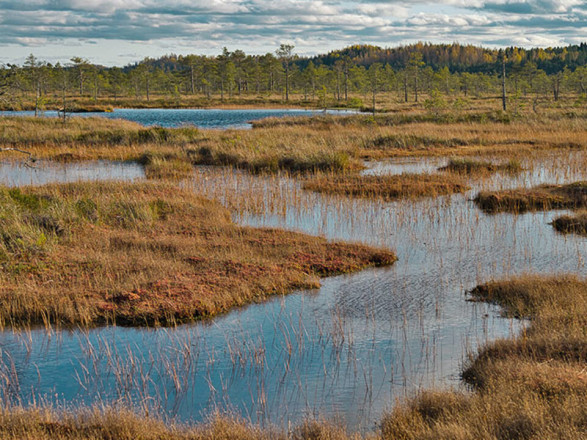 Председатель Ровенской ОВА пообещал врагу "кровавые болта" и "котел", если они решатся на наступление из беларуси